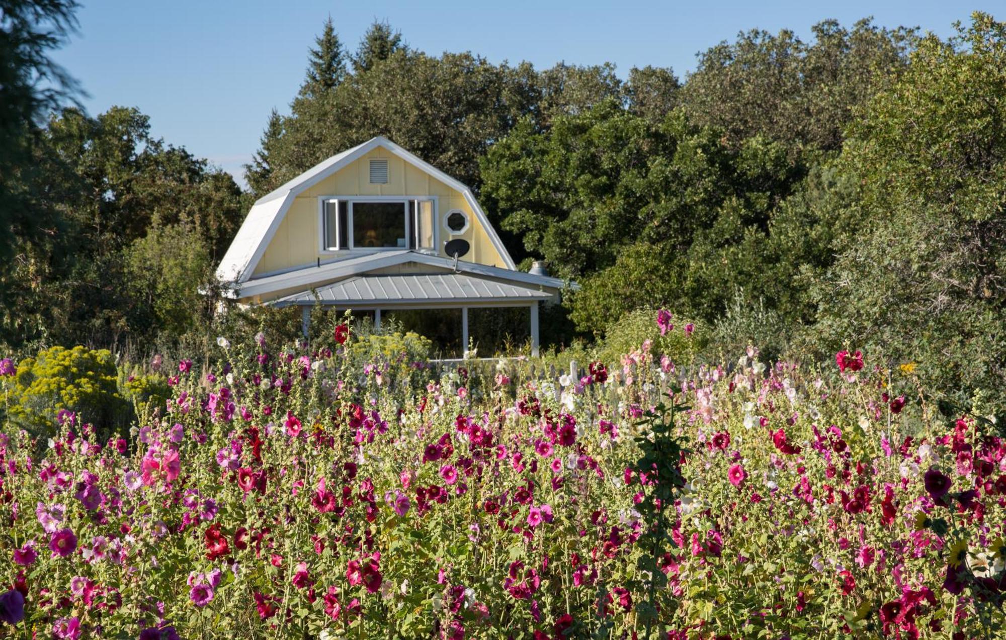 Blue Lake Ranch Bed & Breakfast Hesperus Exterior photo